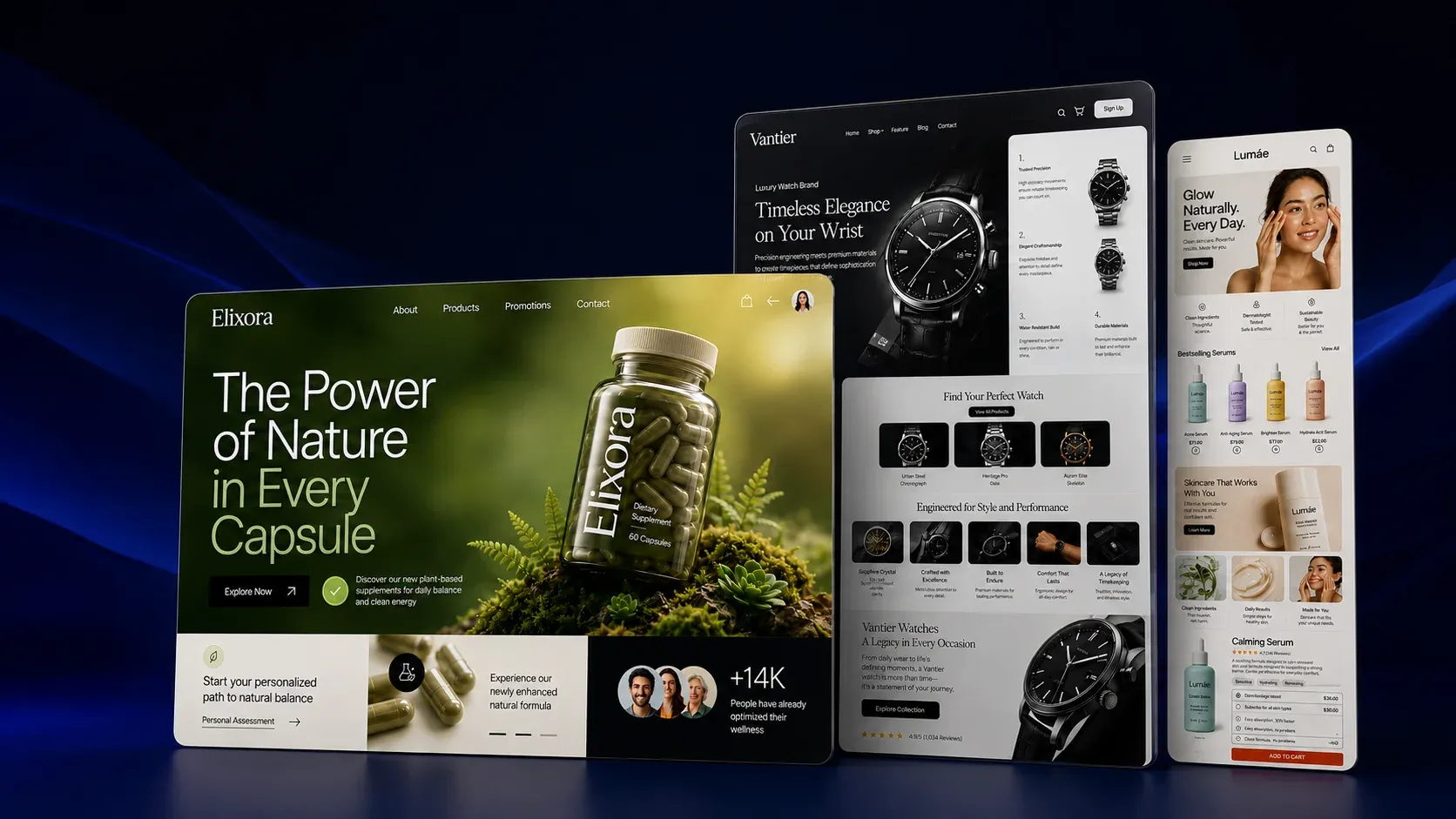 Business web design — multi-device showcase